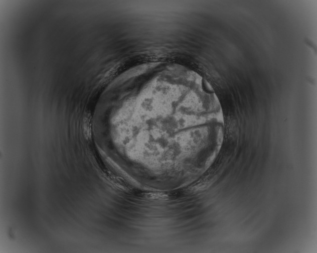 X0000096940719200802291033