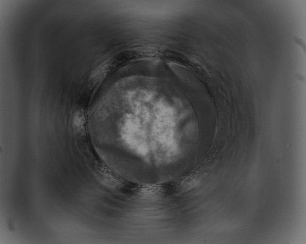 X0000096940720200802291033