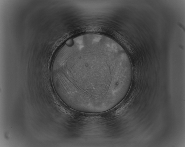 X0000096940721200802291032