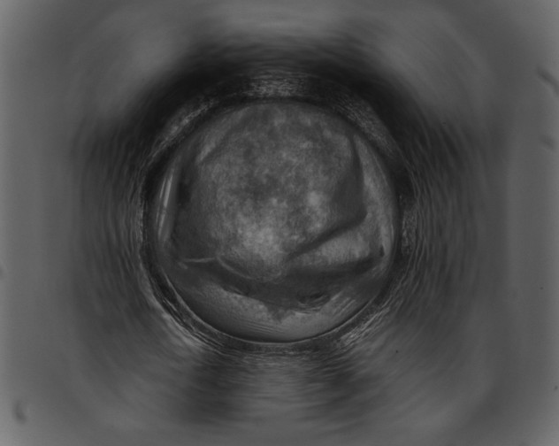 X0000096940722200802291032