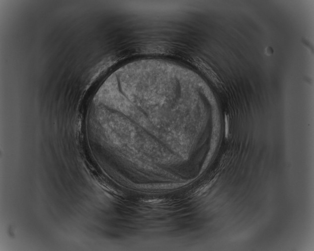 X0000096940723200802291032