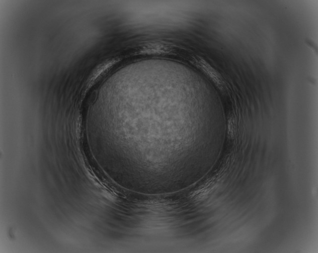 X0000096940724200802291032