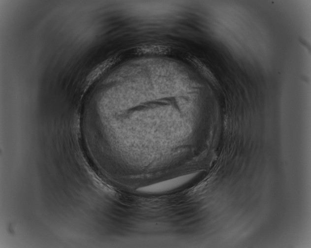 X0000096940725200802291032