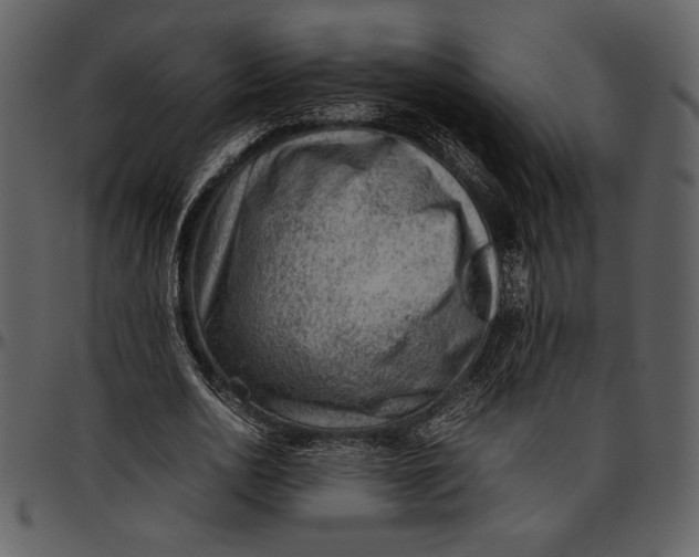 X0000096940726200802291032