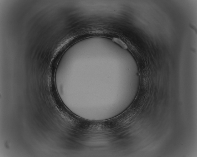 X0000096940728200802291032