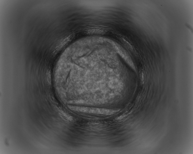 X0000096940729200802291032