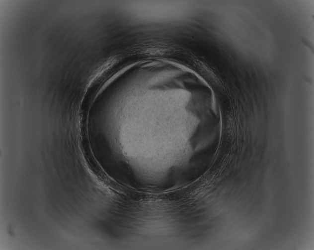 X0000096940730200802291032