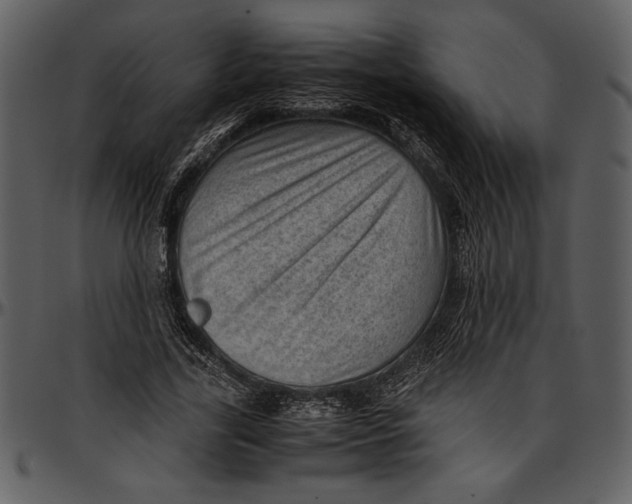 X0000096940731200802291032