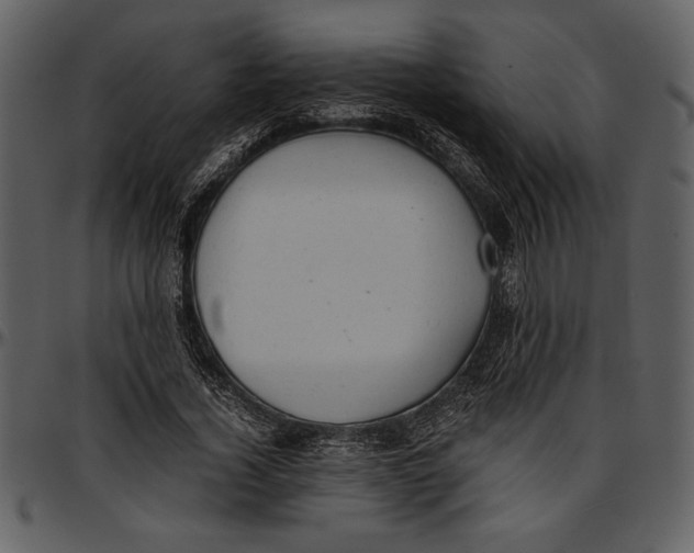 X0000096940732200802291032