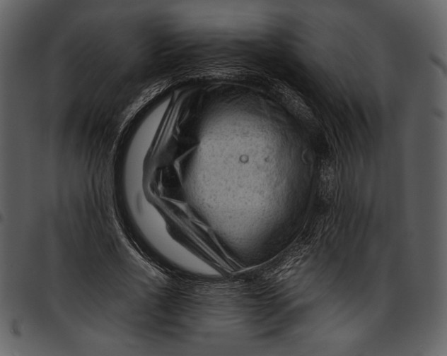 X0000096940734200802291032