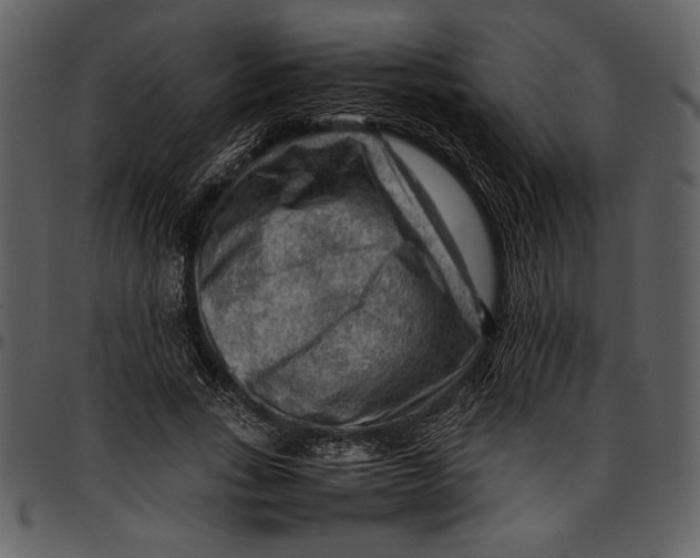 X0000096940735200802291032