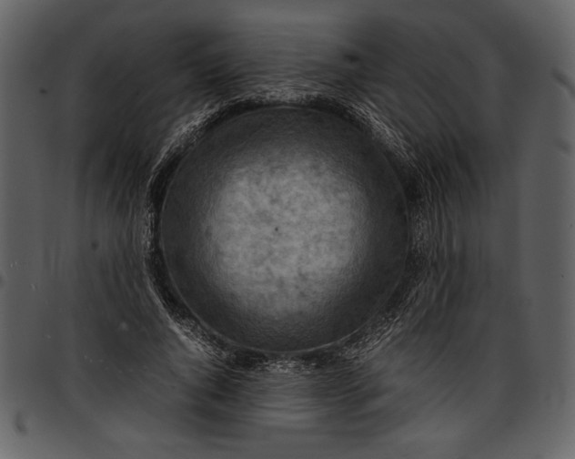 X0000096940736200802291032