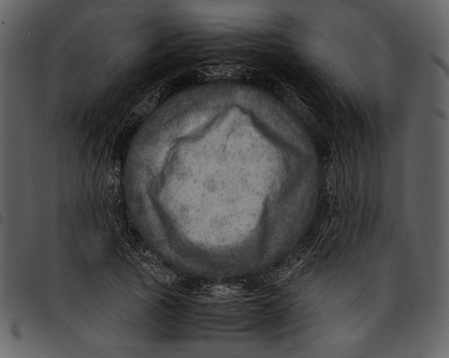 X0000096940737200802291032