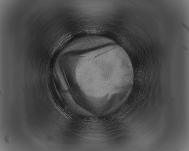 X0000096940738200802291032