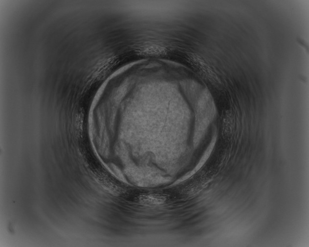 X0000096940739200802291032