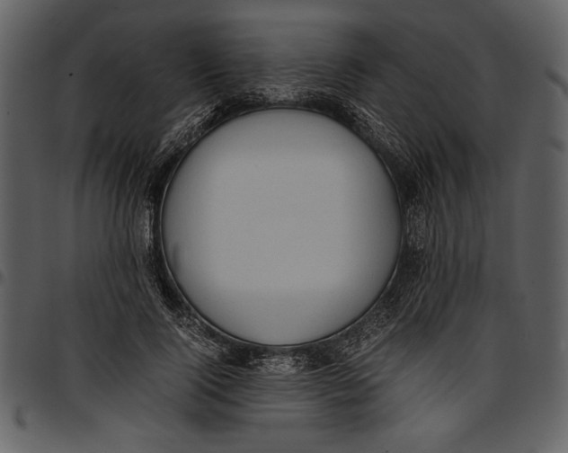 X0000096940740200802291032