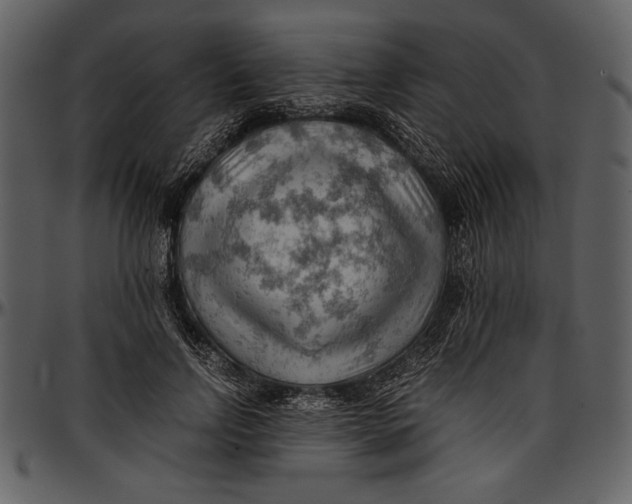 X0000096940742200802291032