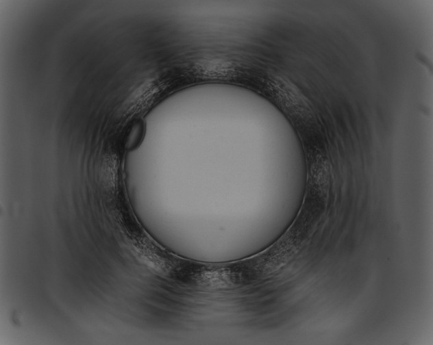 X0000096940744200802291032