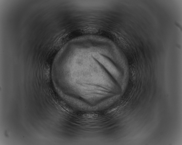 X0000096940745200802291032