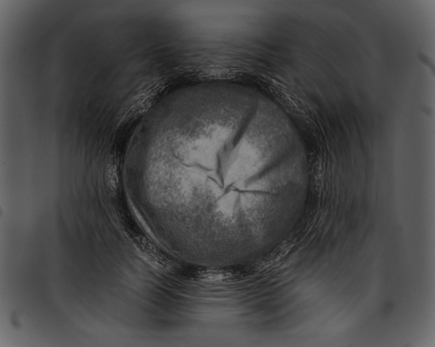 X0000096940746200802291032