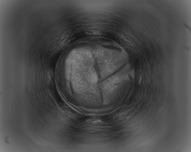 X0000096940747200802291032