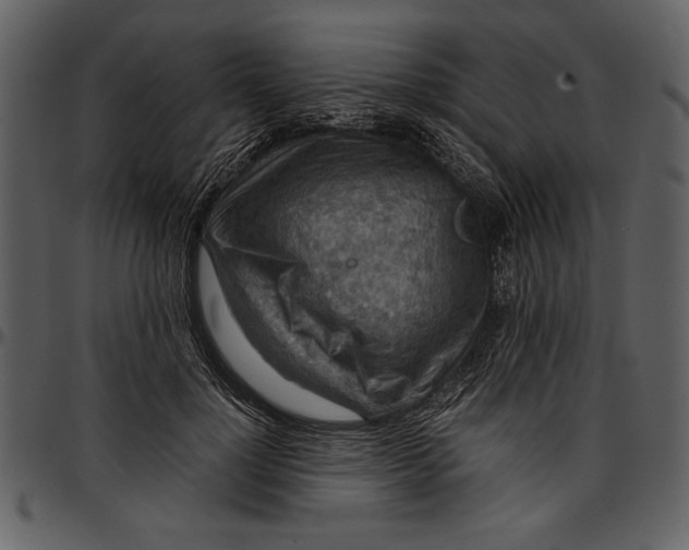 X0000096940748200802291032