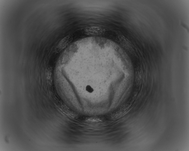 X0000096940749200802291032