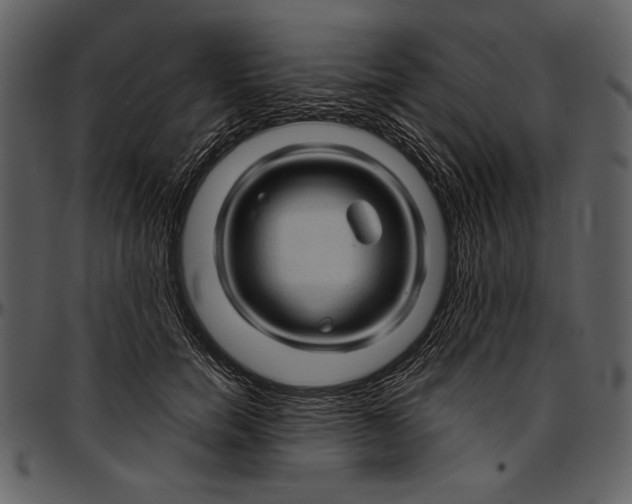 X0000096940750200802291032