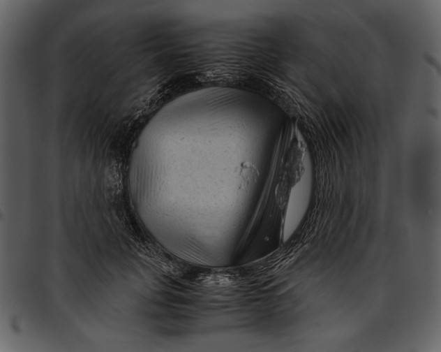 X0000096940751200802291032