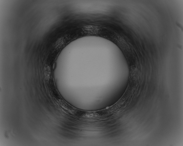 X0000096940752200802291032