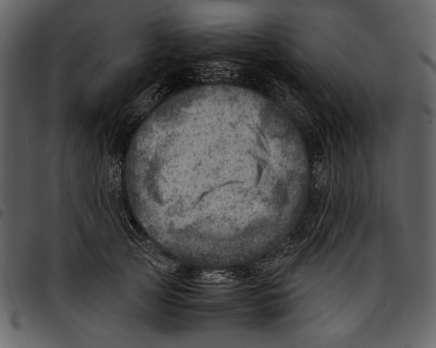 X0000096940753200802291032