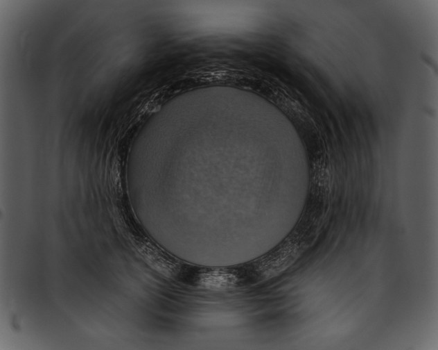 X0000096940754200802291032