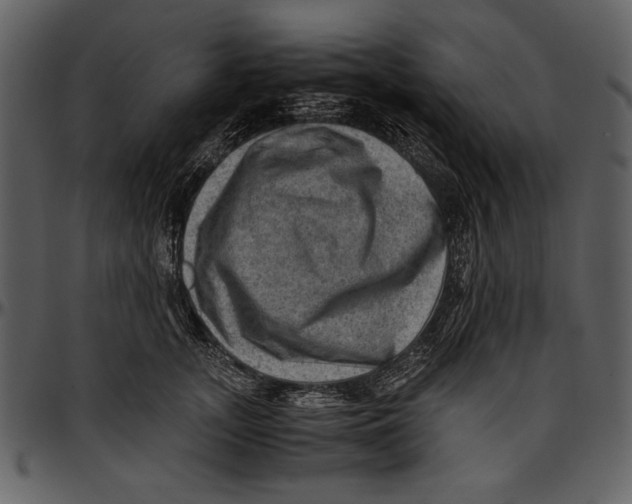 X0000096940755200802291032