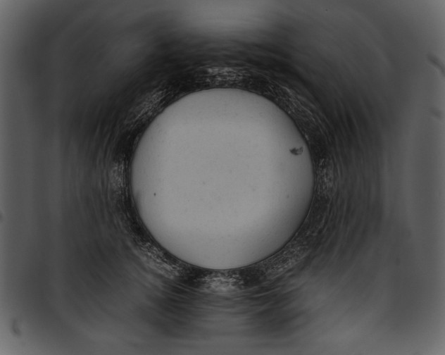 X0000096940756200802291032