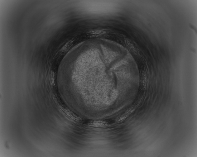 X0000096940758200802291032