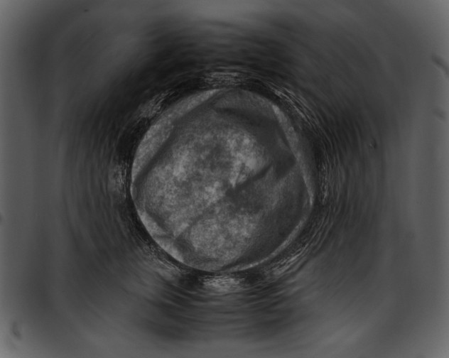 X0000096940759200802291033