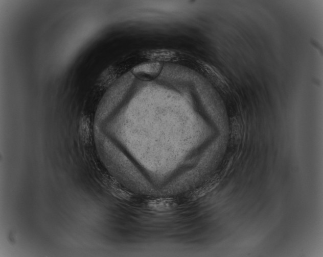 X0000096940761200802291033