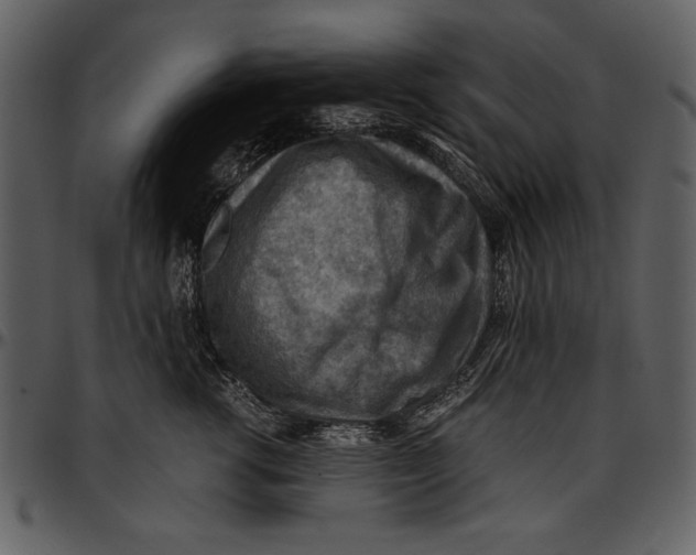 X0000096940762200802291033