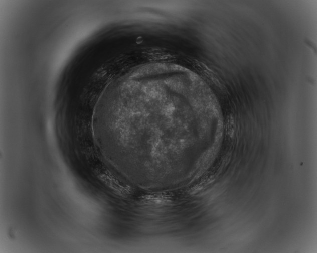 X0000096940763200802291033