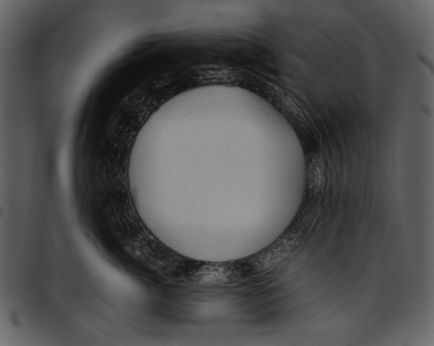 X0000096940764200802291033