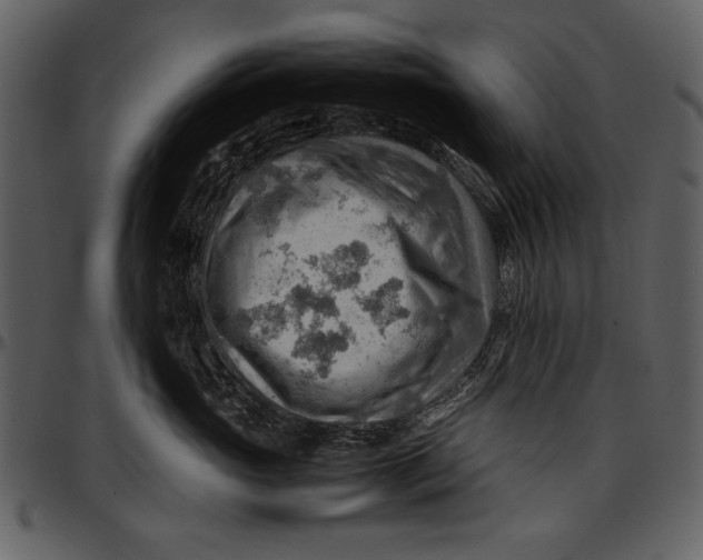 X0000096940765200802291033