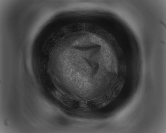 X0000096940766200802291033