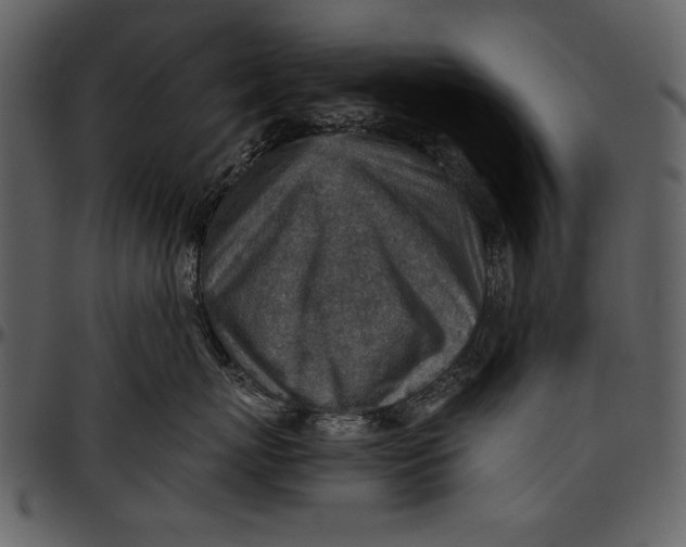 X0000096940767200802291033