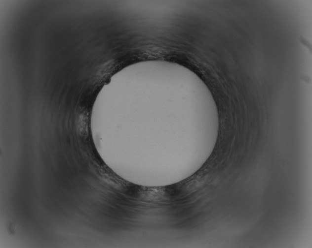 X0000096940768200802291033