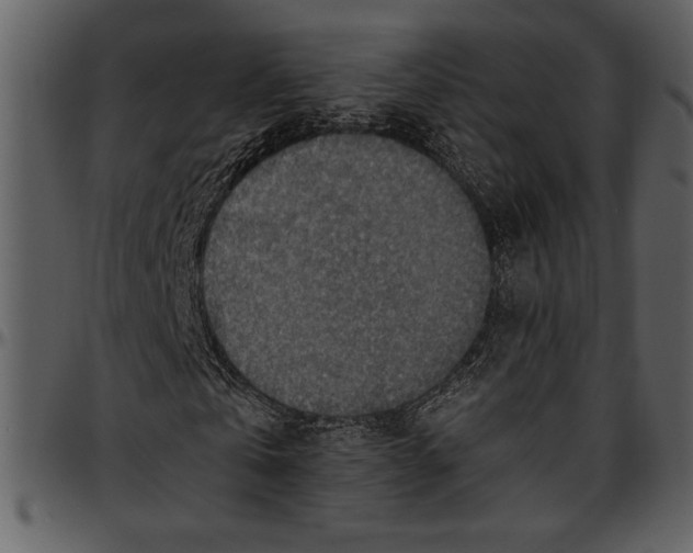 X0000096940769200802291032