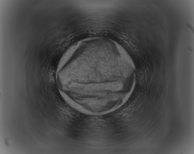 X0000096940770200802291032