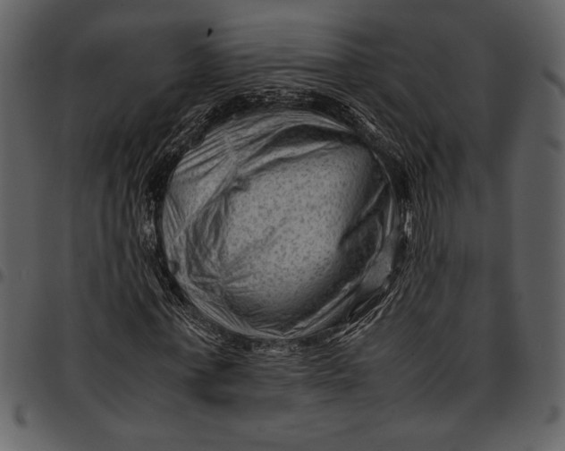 X0000096940771200802291032