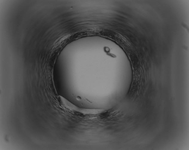 X0000096940773200802291032