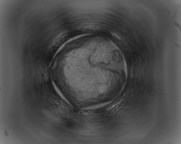 X0000096940774200802291032