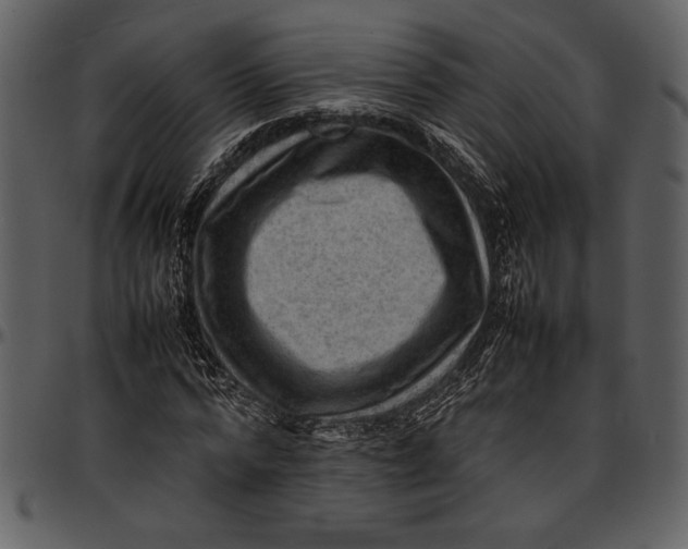 X0000096940776200802291032